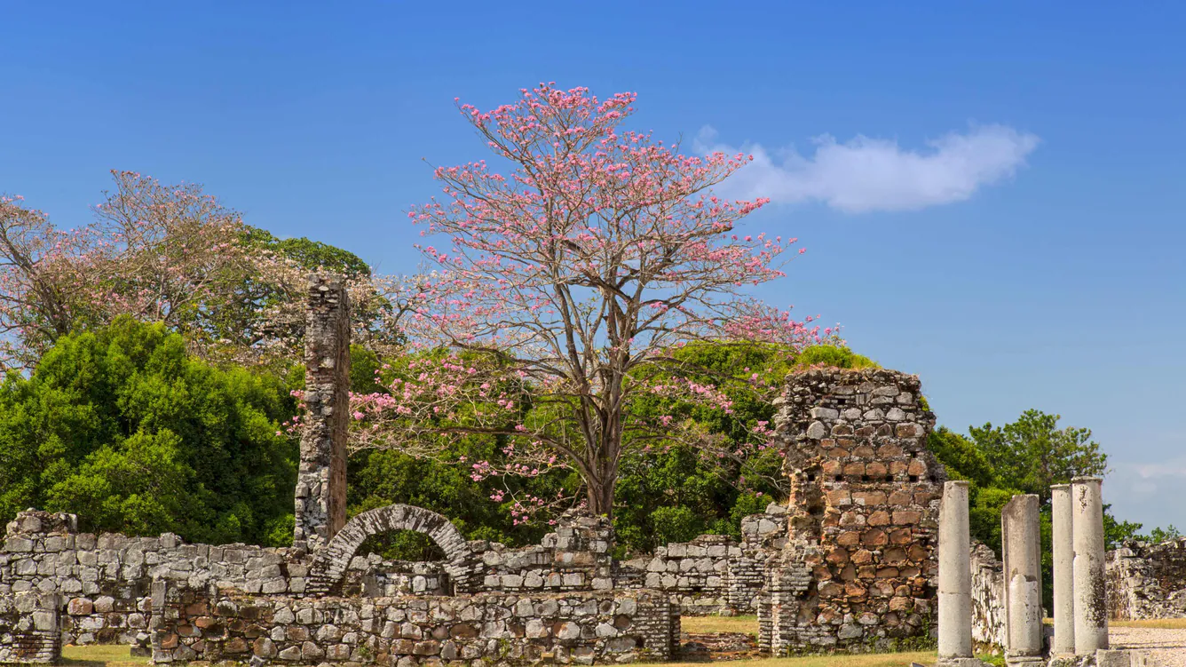 ptybw-attraction-ruins-8725-hor-wide